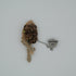 Broche à fleur et chaine - Pins pour costume homme - Boutoniere - accessoires costume BROCHE MOUBARAK SHOP