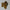 Cravate Pochette CVP230 - Jaune Motif CRAVATE POCHETTE MOUBARAK SHOP